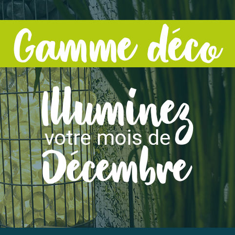 Illuminez votre mois de d&eacute;cembre avec nos id&eacute;es de gabions lumineux !
